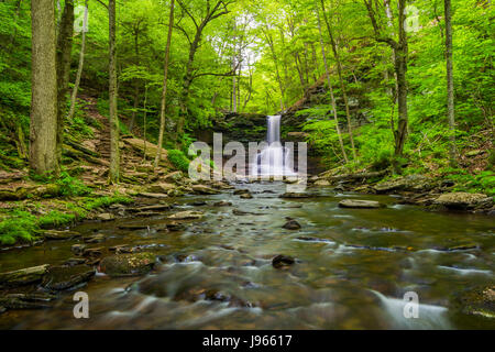 Sheldon Reynolds fällt in Ricketts Glen State Park, Pennsylvania. Stockfoto