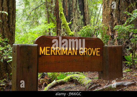 Memorial Grove Zeichen entlang Ah-Pah Interpretive Trail, Prairie Creek Redwoods State Park, Redwood National Park, Kalifornien Stockfoto