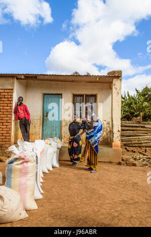 Drei Leute verkaufen Säcke von Mais an einen Händler in Chiphazi, in der Nähe von Flugfeld, Malawi, Afrika außerhalb seiner traditionellen Ladenbau Stockfoto