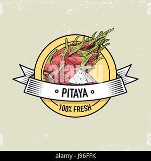Pitaya oder Dragon Obst Vintage, handgezeichnete frisches Obst Hintergrund, Sommerpflanzen, vegetarische und Bio Zitrusfrüchte und andere, eingraviert. Stock Vektor