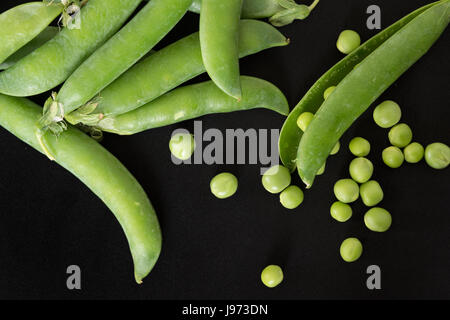 Grüne Erbsen verstreut, frisch gepflückt, auf schwarzem Hintergrund. Ansicht von oben Stockfoto