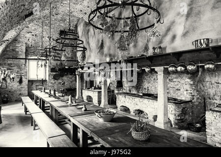 Am wunderschönen Schloss Niederweiden in Österreich. Platz im Innenraum. Reiseziel. Esszimmer. Schwarz / weiß Foto. Stockfoto