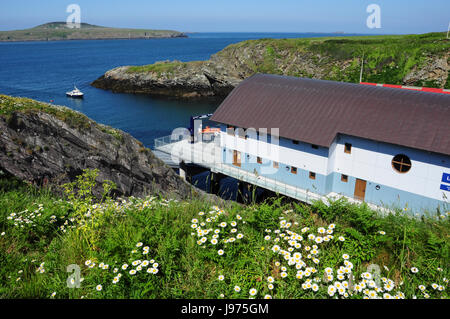 Neue Rettungsstation am St Justinians, Pembrokeshire, Wales, UK Stockfoto