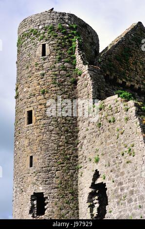 Turm auf den Ruinen von Delvin Castle, auch als Nugent Schloss, Delvin, County Westmeath, Irland bekannt. Das Schloss wurde 1181 erbaut. Stockfoto