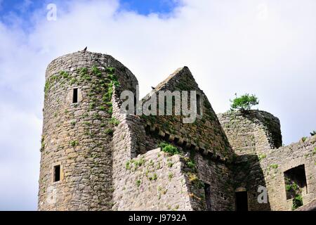 Turm und die Ruinen von Delvin Castle, auch als Nugent Schloss, Delvin, County Westmeath, Irland bekannt. Das Schloss wurde 1181 erbaut. Stockfoto
