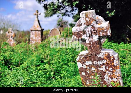 Eine gut geneigt Keltische Kreuz markiert eine Grabstätte an der bewachsenen Kirche Hof an der Ruine der St. Mary's Kirche in Delvin, County Westmeath, Irland. Stockfoto