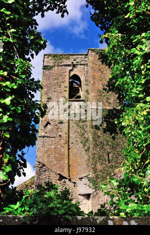 Kirche Turm durch eine überwachsene Rundbogenfenster an der Ruine der St. Mary's Kirche in Delvin, County Westmeath, Irland gesehen. Stockfoto