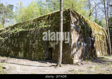 Wolfsschanze, Wolfsschanze, Wolfs Fort - Adolf Hitlers Hauptquartier auf der östlichen Frontseite, Zweiter Weltkrieg. Rastenburg in Ostpreußen, Polen Stockfoto