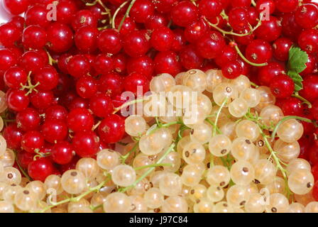 rote und weiße Johannisbeeren Yin yang Stockfoto