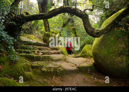 Einen alten Fußweg in den Wald des Klosters Capuchos, in der Mitte das Sintra-Gebirge. Ein UNESCO-Weltkulturerbe. Portugal Stockfoto