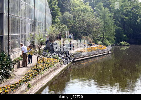 Gewächshaus im Hortus Botanicus Botanical Garden in der Plantage von Amsterdam, die Niederlande. Eines der ältesten der Welt. Stockfoto