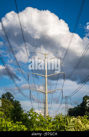 Vertikale Titelfoto von Stromleitungen und Turm vor blauem Himmel mit großen weißen und grauen Wolken und grüne Bäume und Sträucher im unteren Teil der Stockfoto