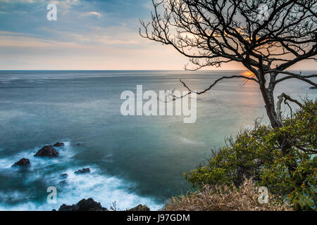 Orange und rosa Sonnenuntergang über dem Pazifischen Ozean genommen von einer Klippe mit Wellen um Felsen und einen toten Baum und Pinsel im Vordergrund - Jaco, Costa Ric Stockfoto