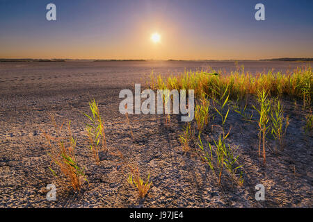 Ukraine, Dnepropetrovsk Region, Novomoskovskiy Bezirk, See Soleniy Lyman, Wüste bei Sonnenuntergang Stockfoto