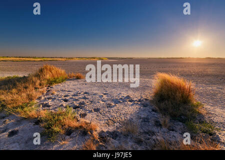 Ukraine, Dnepropetrovsk Region, Novomoskovskiy Bezirk, See Soleniy Lyman, Wüste bei Sonnenuntergang Stockfoto