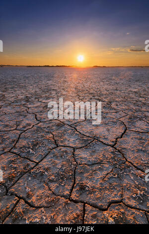 Ukraine, Dnepropetrovsk Region, Novomoskovskiy Bezirk, See Soleniy Lyman, Wüste bei Sonnenuntergang Stockfoto