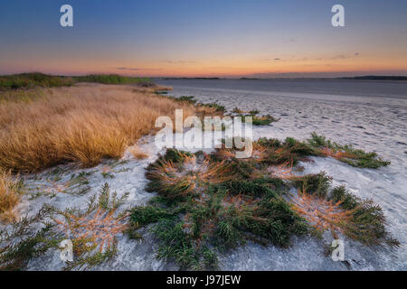 Ukraine, Dnepropetrovsk Region, Novomoskovskiy Bezirk, See Soleniy Lyman, Wüste bei Sonnenuntergang Stockfoto