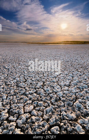 Ukraine, Dnepropetrovsk Region, Novomoskovskiy Bezirk, See Soleniy Lyman, Wüste bei Sonnenuntergang Stockfoto