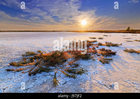 Ukraine, Dnepropetrovsk Region, Novomoskovskiy Bezirk, See Soleniy Lyman, Wüste bei Sonnenuntergang Stockfoto