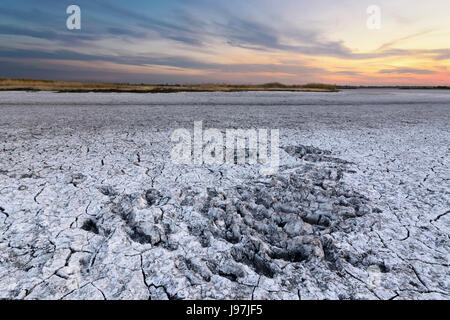 Ukraine, Dnepropetrovsk Region, Novomoskovskiy Bezirk, See Soleniy Lyman, Wüste bei Sonnenuntergang Stockfoto