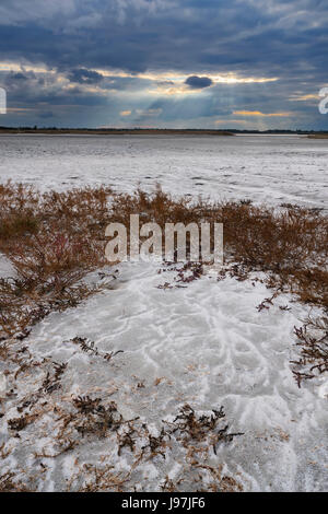 Ukraine, Dnepropetrovsk Region, Novomoskovskiy Bezirk, See Soleniy Lyman, Wüste bei Sonnenuntergang Stockfoto