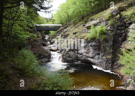 Der Pool und der überdachte Brücke in Flume Gorge Stockfoto