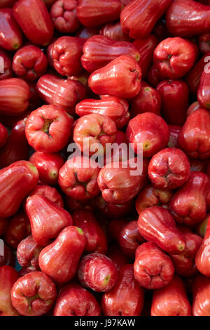 Rose-Äpfel (oder Wasser Äpfel), können Duoc Markt, Provinz Long An, Mekong Delta, Vietnam Stockfoto