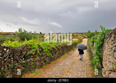 Ein alter Weg in der Nähe von Figueira de Castelo Rodrigo. Eines der am stärksten isolierten Hochebenen in Portugal, Parque Natural Do Douro Internacional. Stockfoto