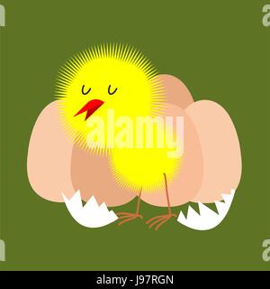 Ei und Huhn. Pelzigen Küken aus dem Ei geschlüpft. Vektor-Illustration. Stock Vektor