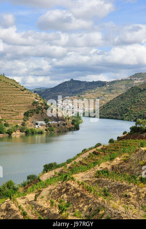 Der Fluss Douro und die terrassierten Weinberge des Portweins in der Nähe von Pinhão. Ein UNESCO-Weltkulturerbe, Portugal Stockfoto