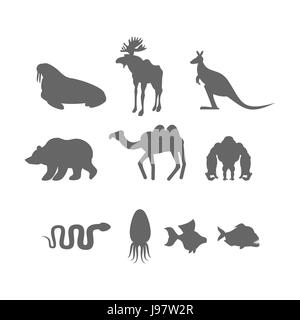 Set wilde Tier Silhouette. Tiere aus Zoo und Fische Stock Vektor