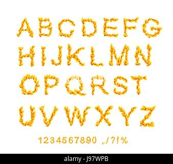 Feuer Schriftarten. ABC-Feuer Buchstaben isoliert auf weißem Hintergrund. Vektor-illustration Stock Vektor