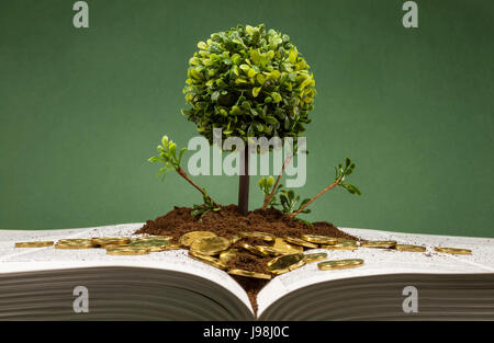 Miniatur und dekorativer Baum mit runden Haube auf einem Layer des Bodens und verstreuten goldenen Münzen auf ein offenes Buch, Konzept über Wissen und Finanzen Stockfoto