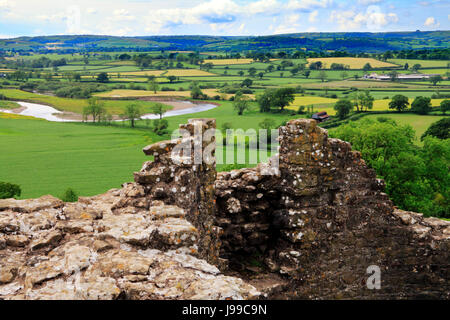 Dryslwyn Burg in mid Wales Stockfoto
