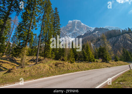 Blick auf die italienischen Alpen aus die kurvenreiche Bergstrasse, die durch den Wald und bis Rolle Pass führt. Stockfoto