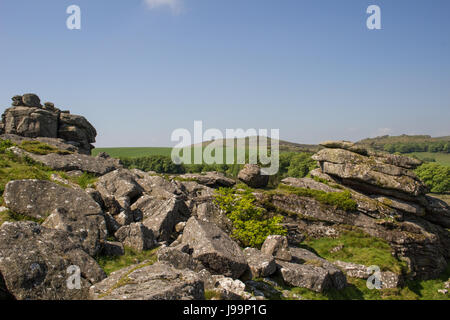 Blick vom Greator Felsen auf Dartmoor in Devon, Großbritannien Stockfoto