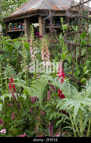 Anneka Reis Farbe Schneiden Garten entworfen von Sarah Raven an der RHS Chelsea Flower Show 2017, London, UK. Pflanzen gehören Digitalis "Suttons Degen Stockfoto