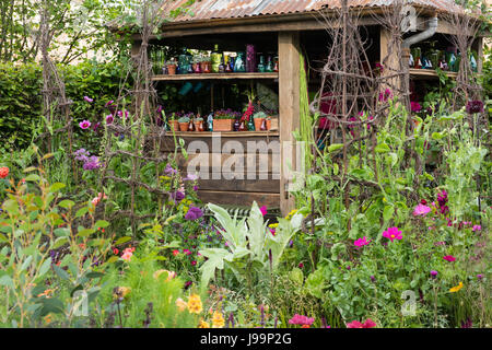 Bunte Blumen, darunter Allium ' Purple Sensation, Digitalis "Suttons Apricot", Cosmos Bipinnatus und Dahlia "Hillcrest Royal" um ein Schuppen Dekor Stockfoto