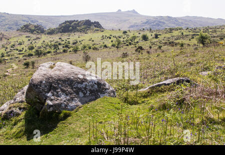 Greator Felsen und Heu Tor auf Dartmoor in Devon, Großbritannien Stockfoto