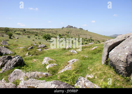 Hound Tor auf Dartmoor in Devon, Großbritannien Stockfoto