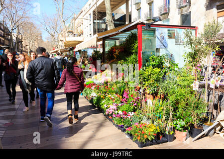 Touristen gehen vorbei an einem Floristen Stall auf La Rambla, Barcelona, Katalonien, Spanien Stockfoto