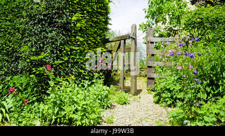 Offene Holztor in einem englischen Cottage blühenden Garten, an einem Sommertag. Stockfoto