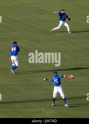 Fort Myers, Florida, USA. 31. Mai 2017. MONICA HERNDON | Times.The King High School Löwen Aufwärmen vor der Klasse 7A Halbfinale gegen Gulf Coast am Mittwoch, den 31. Juni im Hammond Stadium in Fort Myers, Florida-Credit: Monica Herndon/Tampa Bay Times / ZUMA Draht/Alamy Live News Stockfoto