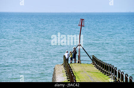 Brighton, UK. 1. Juni 2017. Besucher genießen die Sonne am Strand von Hove als flammende Juni beginnt mit mehr Hitze an der Südküste mit Temperaturen so hoch wie 26 Grad Celsius Kredit voraussichtlich: Simon Dack/Alamy Live News Stockfoto