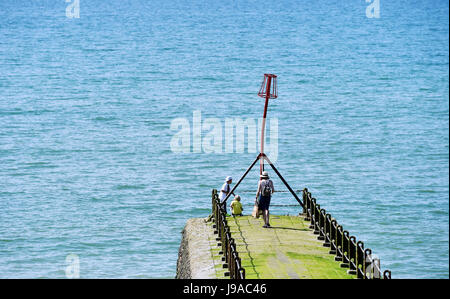 Brighton, UK. 1. Juni 2017. Besucher genießen die Sonne am Strand von Hove als flammende Juni beginnt mit mehr Hitze an der Südküste mit Temperaturen so hoch wie 26 Grad Celsius Kredit voraussichtlich: Simon Dack/Alamy Live News Stockfoto