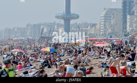 Brighton, UK. 1. Juni 2017. Brighton Beach ist gepackt als flammende Juni beginnt mit ein weiterer heißer Tag an der Südküste des Vereinigten Königreichs mit Temperaturen um 26 Grad Celsius Credit erwartet: Simon Dack/Alamy Live News Stockfoto
