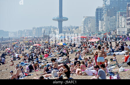 Brighton, UK. 1. Juni 2017. Brighton Beach ist gepackt als flammende Juni beginnt mit ein weiterer heißer Tag an der Südküste des Vereinigten Königreichs mit Temperaturen um 26 Grad Celsius Credit erwartet: Simon Dack/Alamy Live News Stockfoto