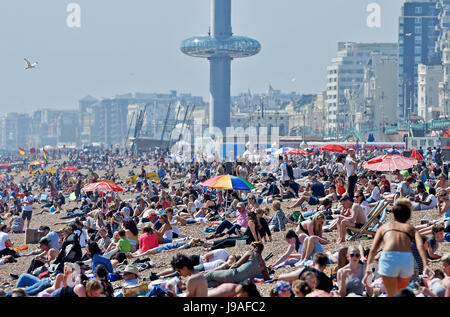 Brighton, UK. 1. Juni 2017. Brighton Beach ist gepackt als flammende Juni beginnt mit ein weiterer heißer Tag an der Südküste des Vereinigten Königreichs mit Temperaturen um 26 Grad Celsius Credit erwartet: Simon Dack/Alamy Live News Stockfoto