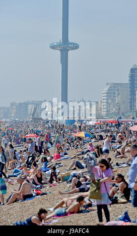 Brighton, UK. 1. Juni 2017. Brighton Beach ist gepackt als flammende Juni beginnt mit ein weiterer heißer Tag an der Südküste des Vereinigten Königreichs mit Temperaturen um 26 Grad Celsius Credit erwartet: Simon Dack/Alamy Live News Stockfoto