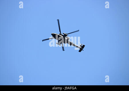 Richmond Park, London, UK. 1. Juni 2017. Ein Apache-Hubschrauber fliegt overhead im Richmond Park in South West London. Bildnachweis: Julia Gavin UK/Alamy Live-Nachrichten Stockfoto